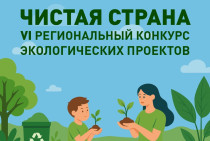 Итоги муниципального этапа VI регионального конкурса экологических проектов «Чистая страна»
