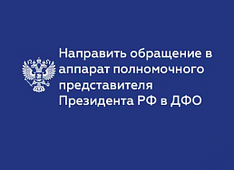 Электронное обращение в аппарат полномочного представителя Президента РФ в ДФО