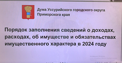 О порядке декларирования доходов рассказали депутатам Уссурийска