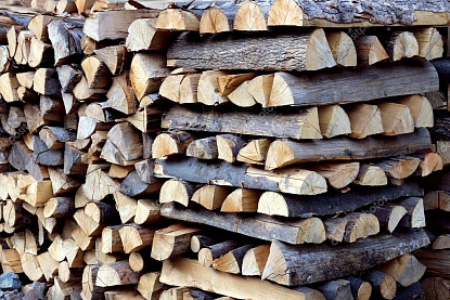 Жители Уссурийского городского округа  смогут приобрести дрова по субсидированным ценам