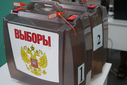 Депутаты Думы Уссурийского городского округа приняли участие в голосовании