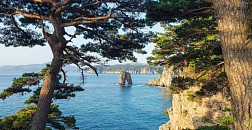 Открыт прием заявок на конкурс экологических проектов «Чистая страна» 