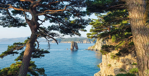 Открыт прием заявок на конкурс экологических проектов «Чистая страна» 