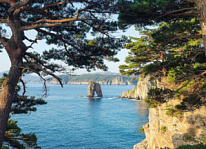 VII региональный конкурс экологических проектов «Чистая страна»